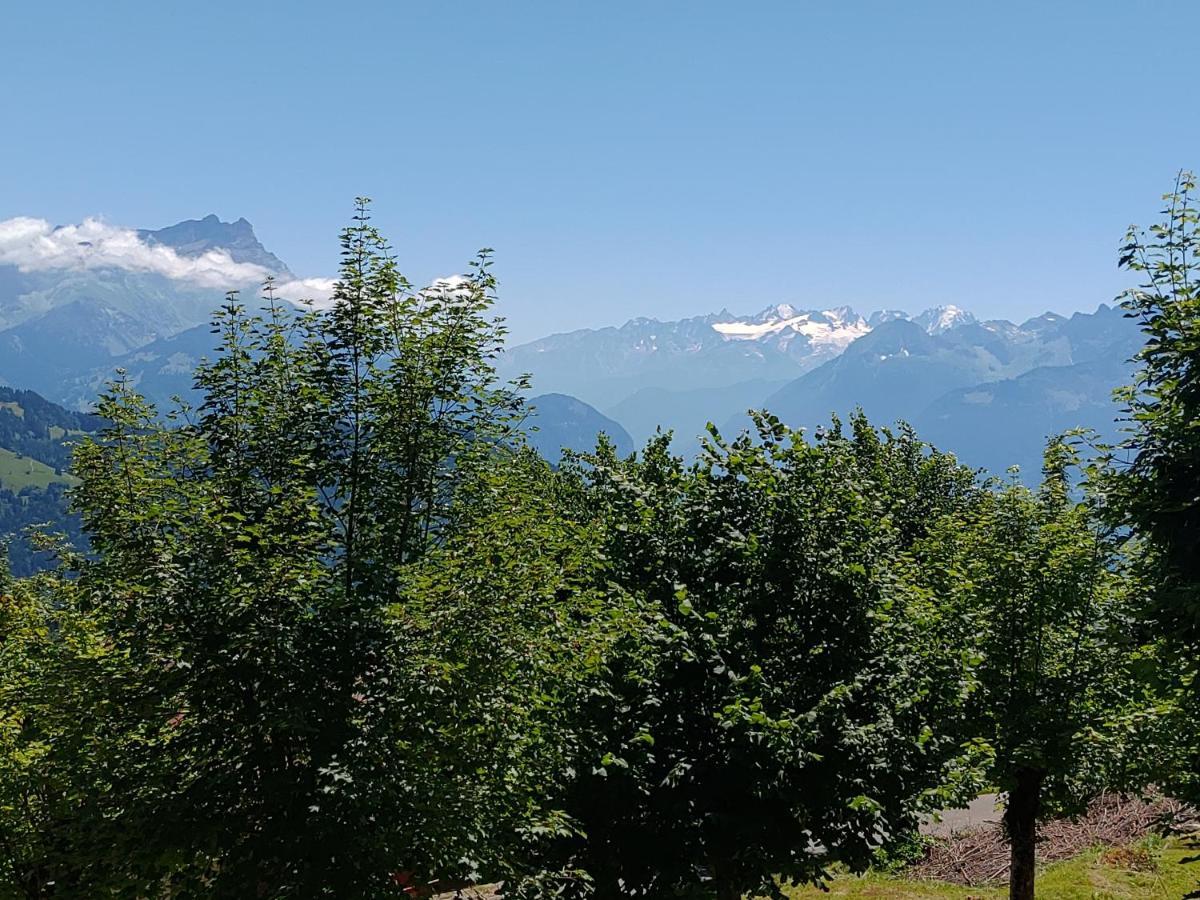 Studio au calme, vue imprenable sur la vallée Leysin Exterior foto