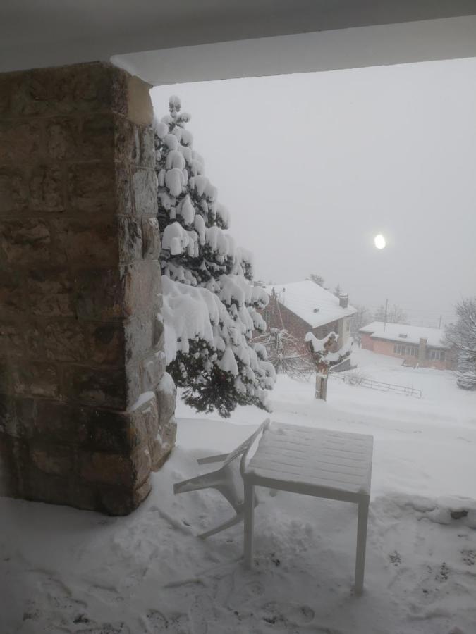 Studio au calme, vue imprenable sur la vallée Leysin Exterior foto