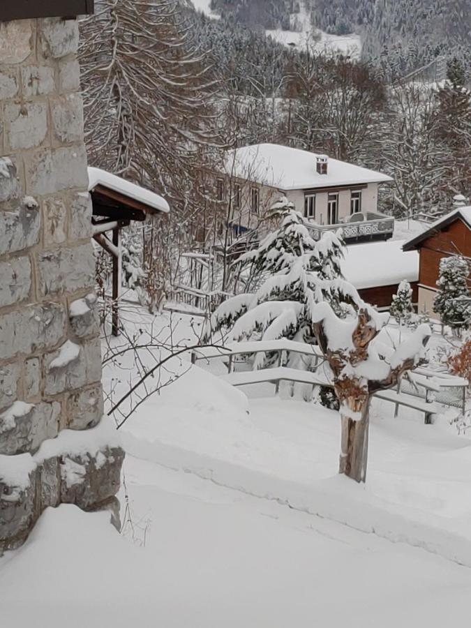 Studio au calme, vue imprenable sur la vallée Leysin Exterior foto