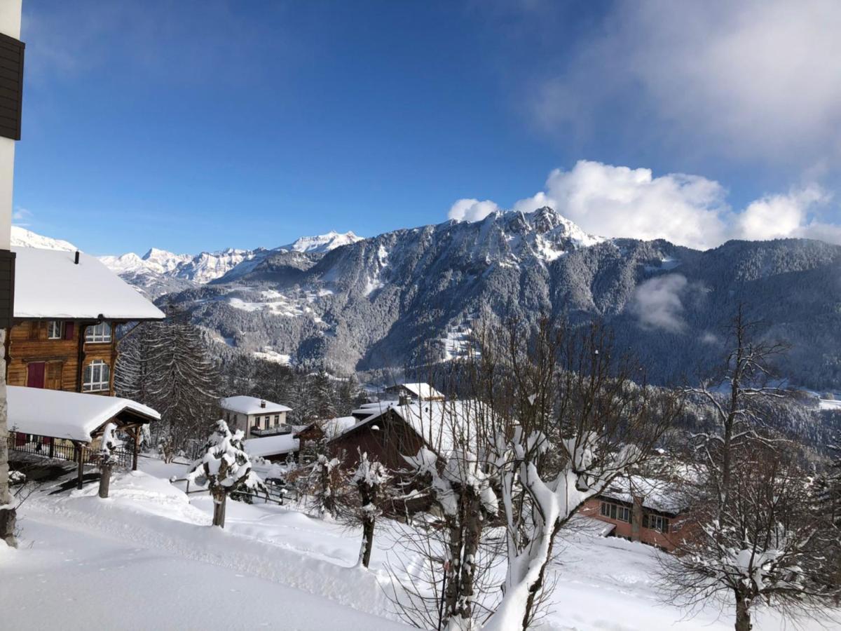 Studio au calme, vue imprenable sur la vallée Leysin Exterior foto