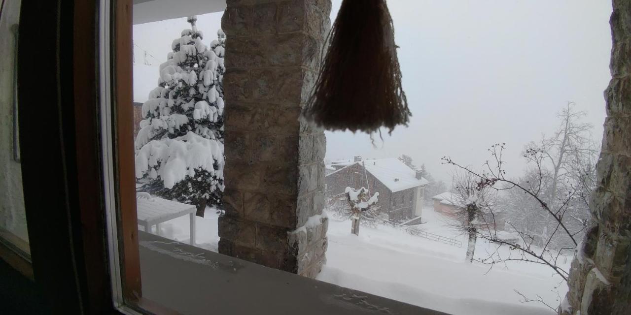 Studio au calme, vue imprenable sur la vallée Leysin Exterior foto