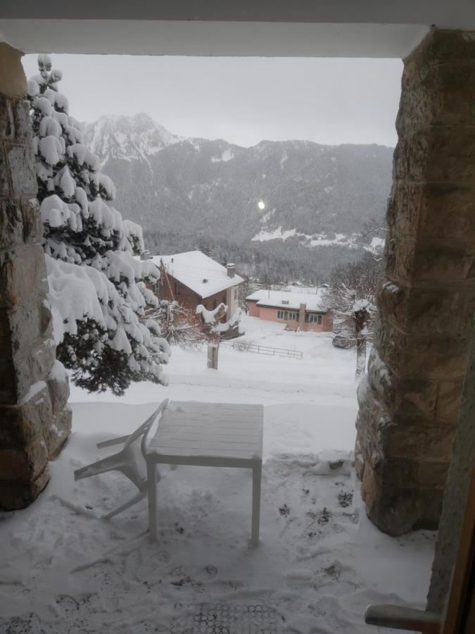 Studio au calme, vue imprenable sur la vallée Leysin Exterior foto