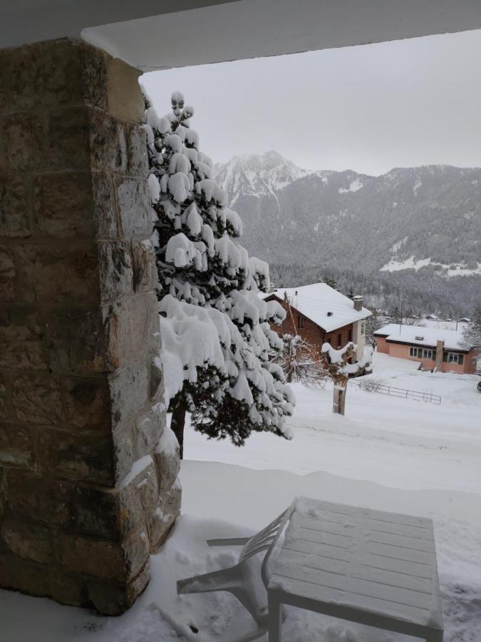 Studio au calme, vue imprenable sur la vallée Leysin Exterior foto